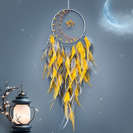 Woven Web/Net with Feather Decorations PW-WG30011-01-1