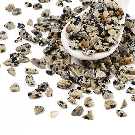  Natural Dalmatian Jasper Chip Beads G-M055-04-1