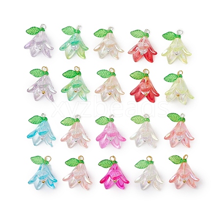 20Pcs Acrylic Charms PALLOY-JF030110-03-1