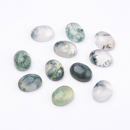 Natural Moss Agate Cabochons X-G-F517-21-1