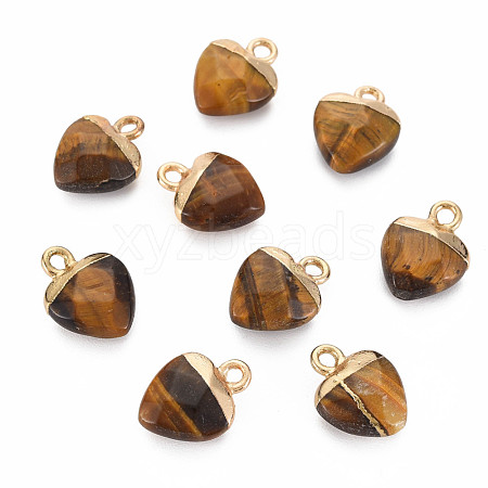 Natural Tiger Eye Charms G-N326-121-04-1