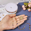 DIY Chain Bracelet Necklace Making Kit DIY-TA0006-08-5