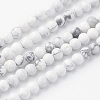 Natural Howlite Bead Strands G-G735-66-4mm-2