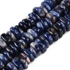 Natural Sodalite Beads Strands G-T141-08-1