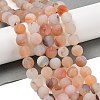 Natural Red Agate Beads Strands G-A248-A03-01-2