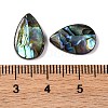 Natural Paua Shell Epoxy Resin Cabochons SSHEL-S279-01E-3