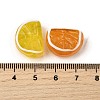 Handmade Lampwork Beads LAMP-S079-12-4