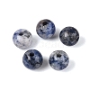 Natural Blue Spot Jasper Beads G-Q602-08C-17-1