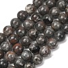 Natural Fluorescent Syenite Rock(Glow under UV Light) Beads Strands GG-NH0012-A01-6mm-2