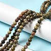 Natural Dendritic Jasper Beads Strands G-D481-16-2