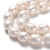 Natural Cultured Freshwater Pearl Beads Strands PEAR-L033-89-2