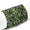 Natural Diopside Beads Strands G-G188-B14-04-2
