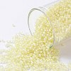 TOHO Round Seed Beads SEED-JPTR15-0182-1