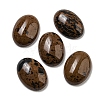 Natural Mahogany Obsidian Cabochons G-C115-01A-34-1