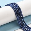 Natural Sodalite Beads Strands G-E608-B08-4