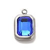 High Polished 304 Stainless Steel Glass Pendants STAS-L022-062P-07-1