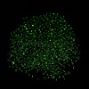 Luminous Glass Seed Beads SEED-A033-07K-5