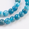 Natural Apatite Beads Strands G-F568-020-6mm-3
