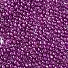 8/0 Glass Seed Beads X1-SEED-A017-3mm-1116-2