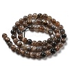 Natural Black Moonstone Beads Strands G-A219-A01-02-3