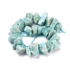 Natural Amazonite Beads Strands G-I283-F01-2