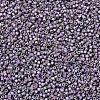 MIYUKI Delica Beads SEED-MY11-DB1065-3