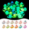 24Pcs 12 Colors Luminous Translucent Resin Cabochons DIY-TA0004-60-1