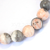 Natural Zebra Jasper Round Beads Strands X-G-E334-6mm-11-2