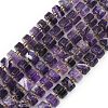 Natural Banded Amethyst Beads Strands G-K245-C02-08-2