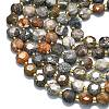 Natural Fossil Coral Beads Strands G-C116-A132-01-3