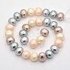 Round Shell Pearl Bead Strands BSHE-M008-03G-2