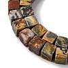 Natural Map Stone Beads Strands G-T139-8x8-45B-4