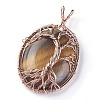 Natural Tiger Eye Big Pendants G-G771-C02-2