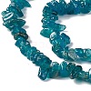 Natural Apatite Beads Strands G-G960-01-4
