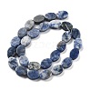 Natural Blue Spot Jasper Beads Strands G-P559-B26-01-4