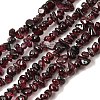Natural Garnet Beads Strands G-P406-55-1