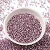 Glass Seed Beads SEED-S042-04B-15-2