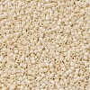 MIYUKI Delica Beads X-SEED-J020-DB0204-3