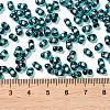 Glass Seed Beads SEED-L011-02A-06-4
