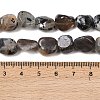 Natural Moonstone Beads Strands G-A284-A01-02-5