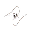 Tarnish Resistant 304 Stainless Steel Earring Hooks STAS-S111-010-1