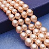 Natural Cultured Freshwater Pearl Graduated Beads Strands PEAR-P060-05B-01-1