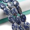 Natural Blue Spot Jasper Beads Strands G-P528-M26-01-2