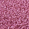 MIYUKI Round Rocailles Beads SEED-X0054-RR0556-3