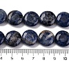 Natural Sodalite Beads Strands G-C159-A09-01-5