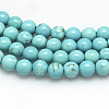 Natural Magnesite Beads Strands TURQ-G103-10mm-01-2