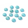 Natural Howlite Cabochons TURQ-L031-033A-01-1