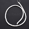 Natural Freshwater Shell Beads Strands X-SHEL-N027-09-3