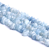 Natural Aquamarine Beads Strands G-O049-B-21-1