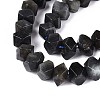 Natural Larvikite Beads Strands G-N327-05-28-3